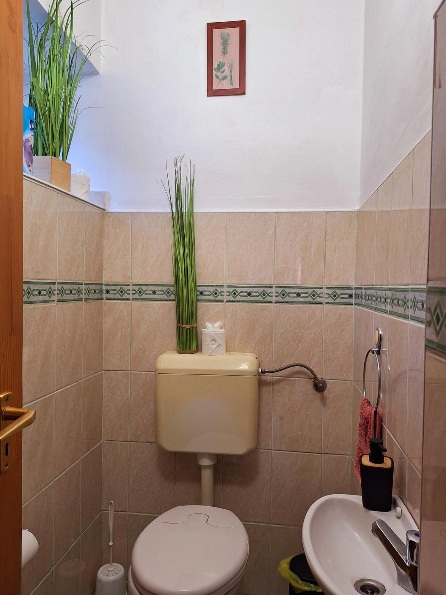 Apartment Watair House Sarud